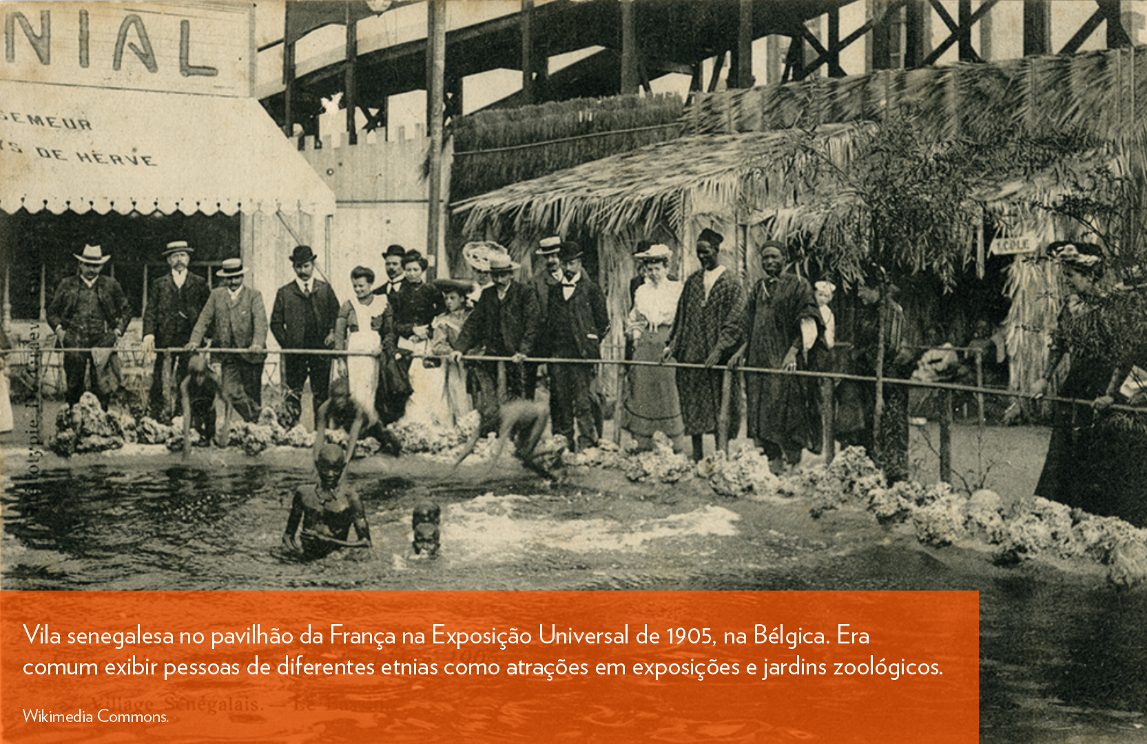 Imagem 11